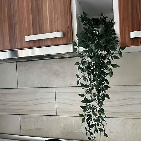 Mall Vitan Апартаменты *